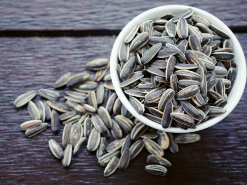 Jabal Alqush Roasted Salted Sunflower Seeds